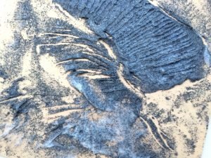A plate for 'The Fourteen'?: collagraph plate detail
